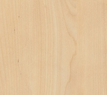 Laminaat EGGER H3840 ST9 Natural Mandal Maple