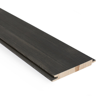 Effex® Design -saunapaneeli, sävy Dusk