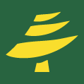 Puumarket